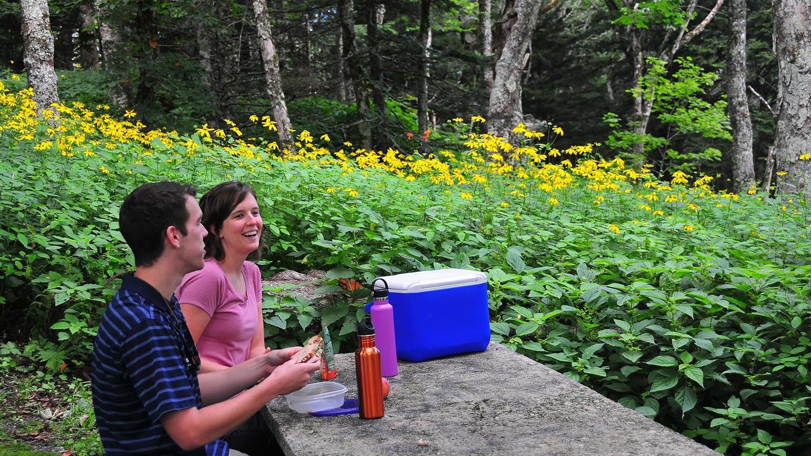 A man and women eat at a picnic table surrounded by trees and yellow wildflowers