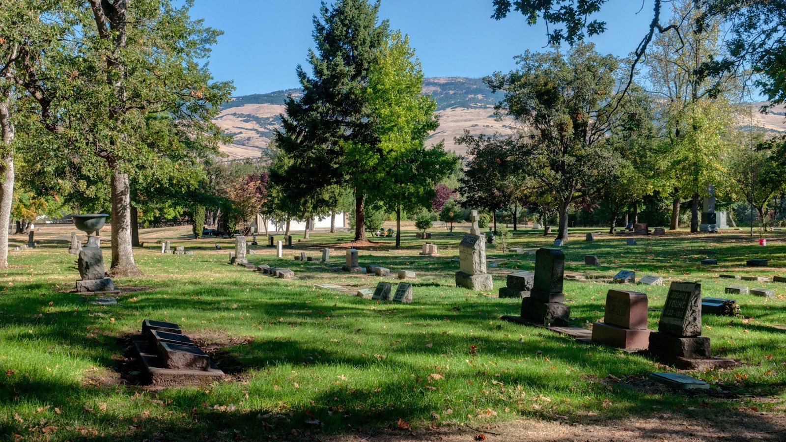 Cemetery with headstones. 