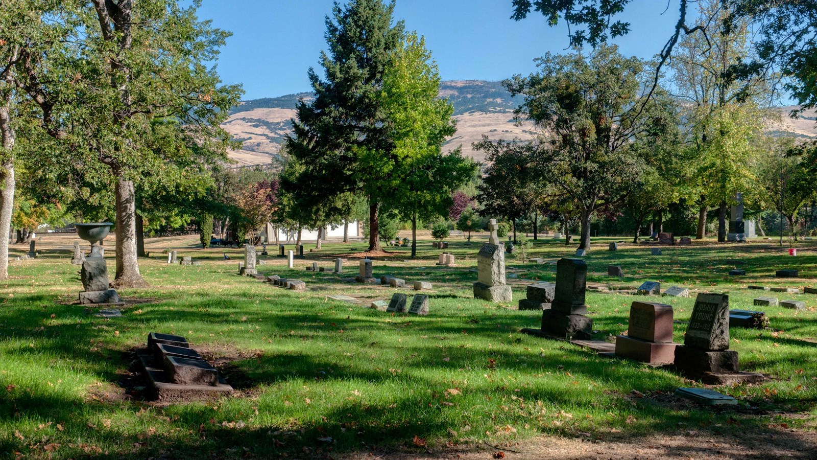 Cemetery with headstones.