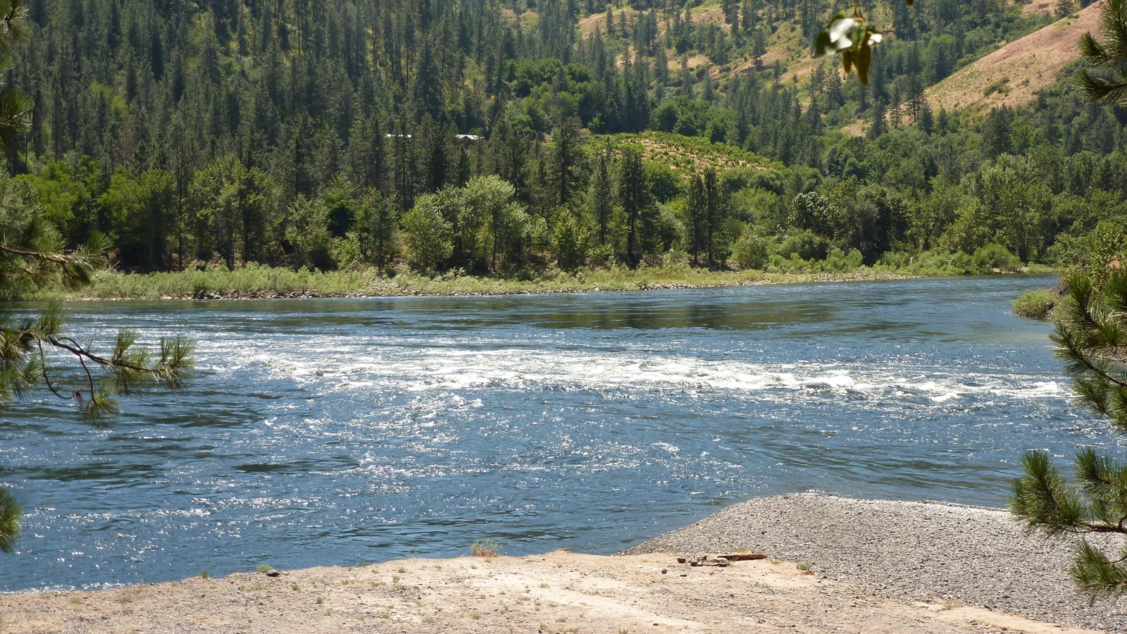 Clearwater River at Lenore with a sandy beach and hillsides covered in trees