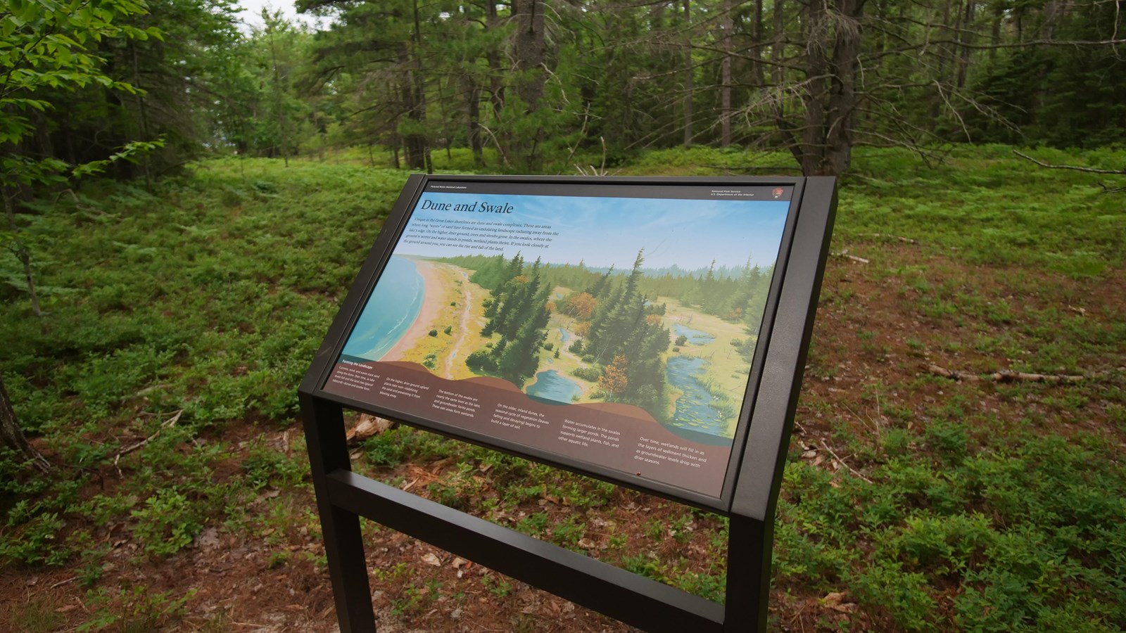 An interpretive exhibit next to a trail overlooking a wooded area