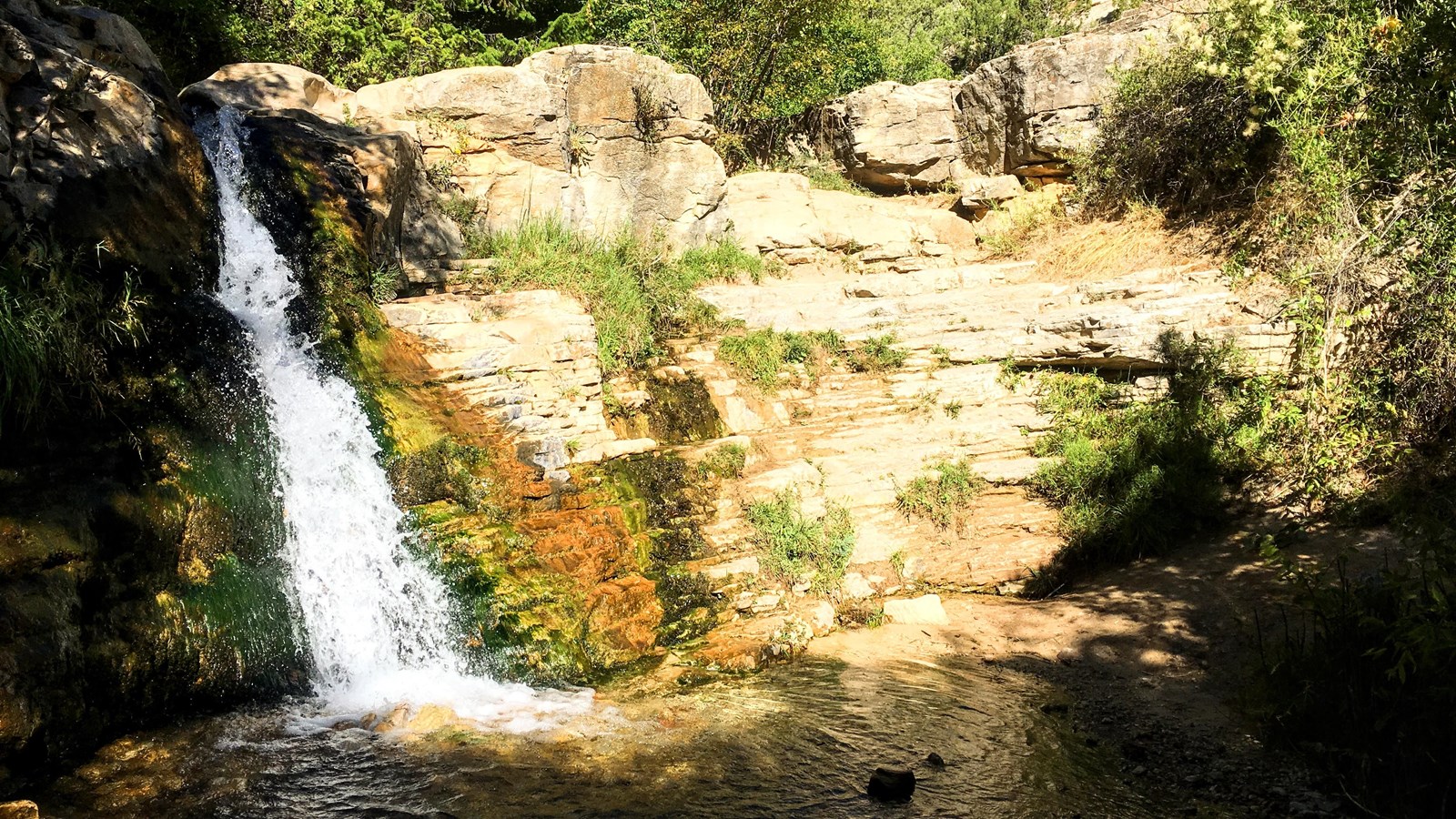 A small waterfall cascades over a bed of green algae.