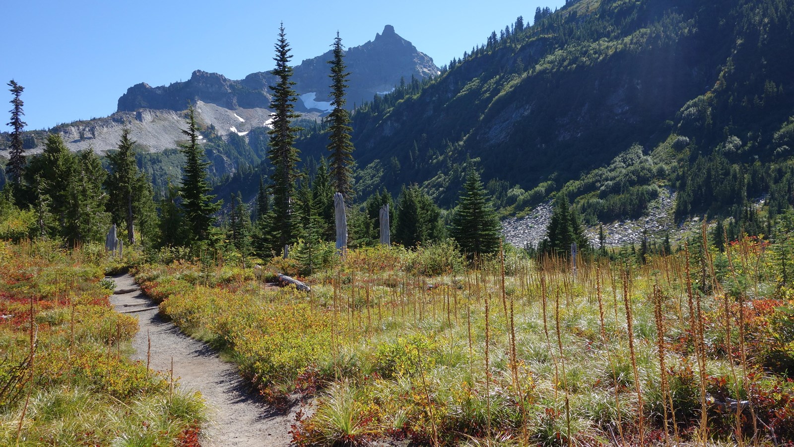 A trail cuts through a subalpine meadow with red and yellow fall foliage.