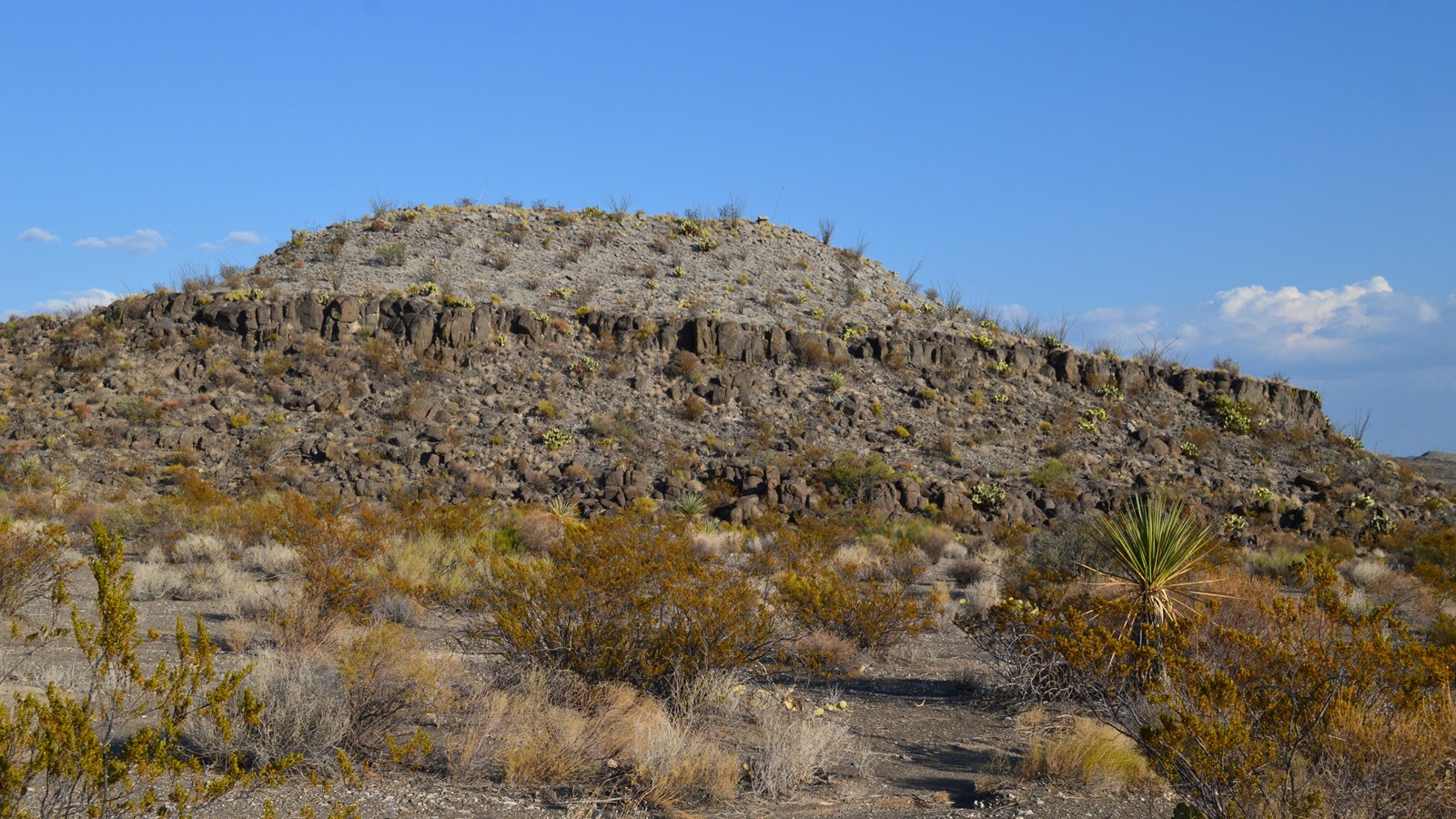 A low hill contains a visible line of dark igneous rock in a band around the top.