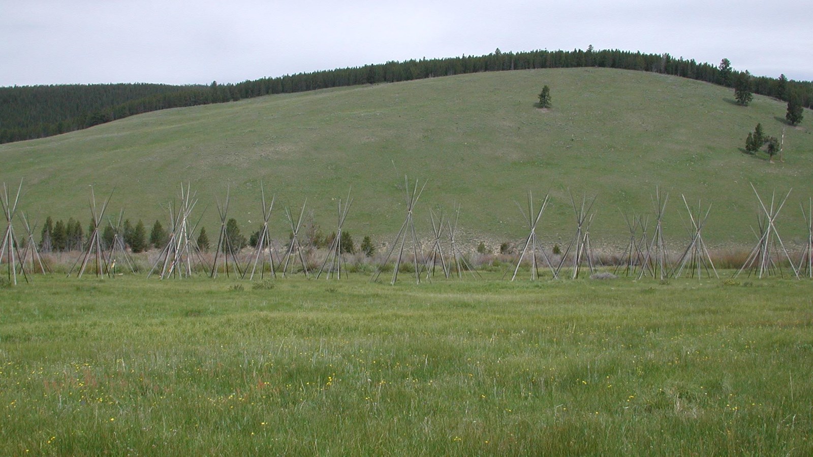 The Nez Perce Encampment