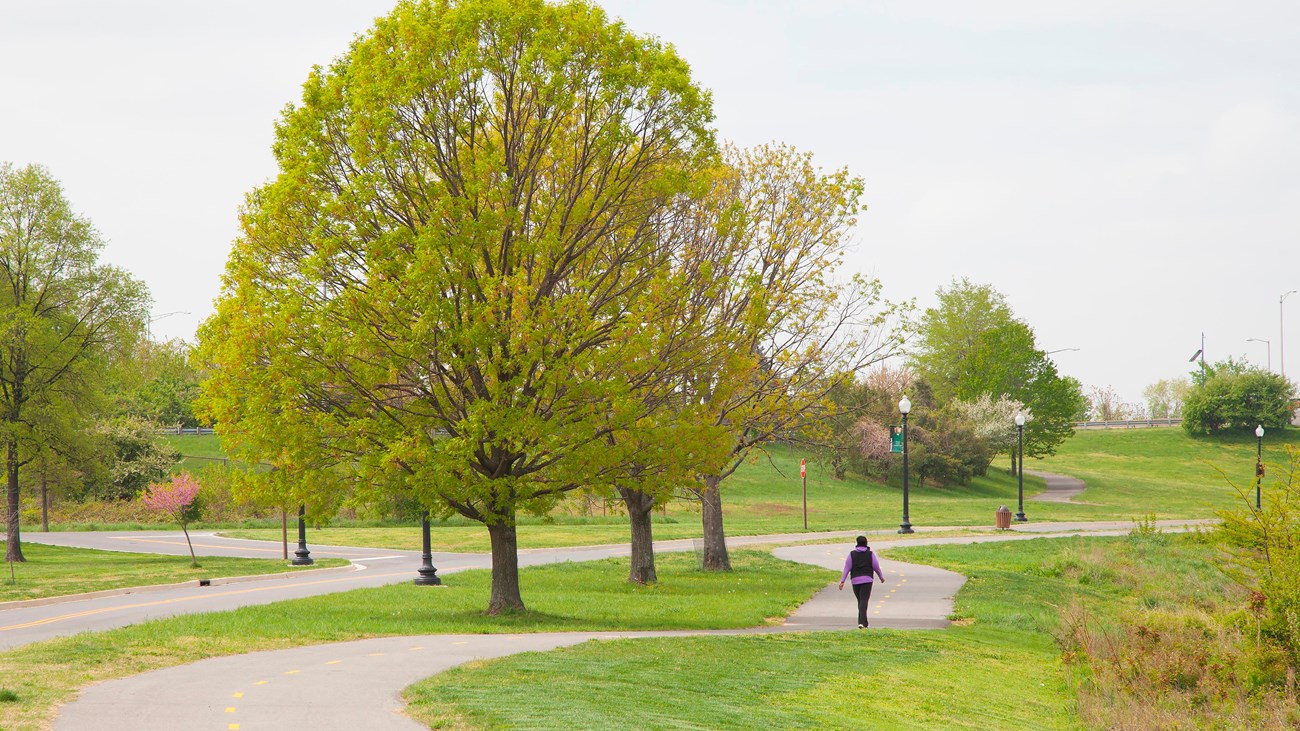 The winding riverwalk trail stretches along the Anacostia River and is a great place to picnic.