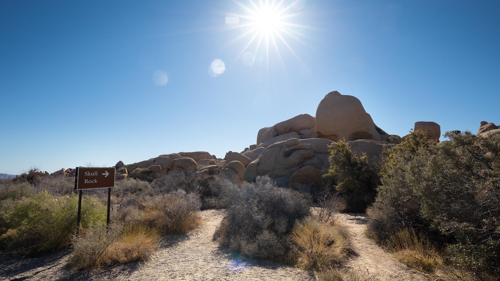 Scattered shrubs and a skull rock sign pointing towards large rock formations in the background.