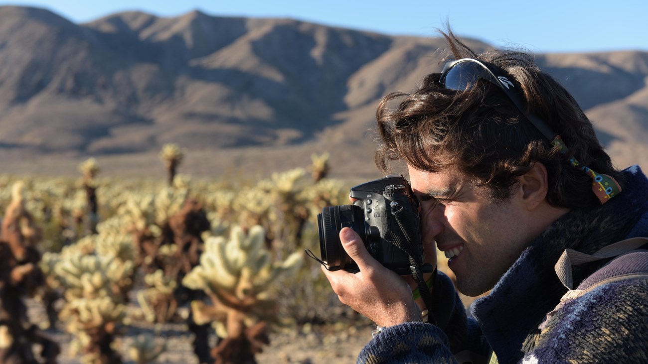 A photographer taking pictures in front of cholla with mountains in the distance.