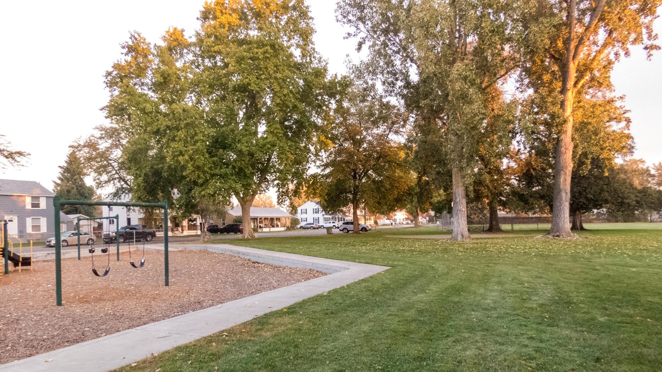 Color photograph of a green space with large trees in the background and a playground.
