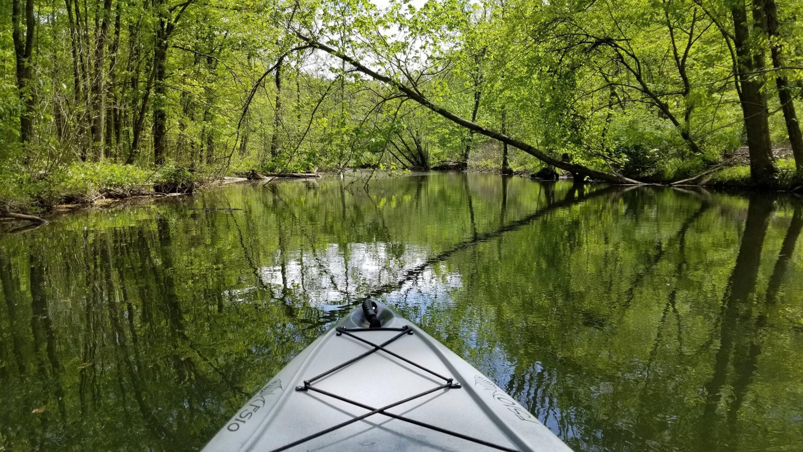 A kayak navigating a quiet, tree-lined river with reflections of green foliage.