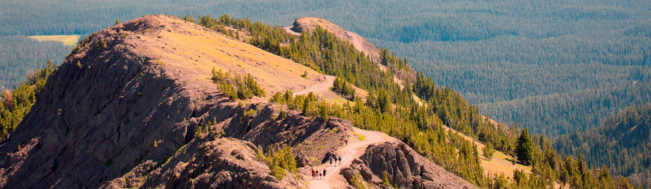 Hikers ascend the bare ground trail along a ridge near the top of Mount Washburn.