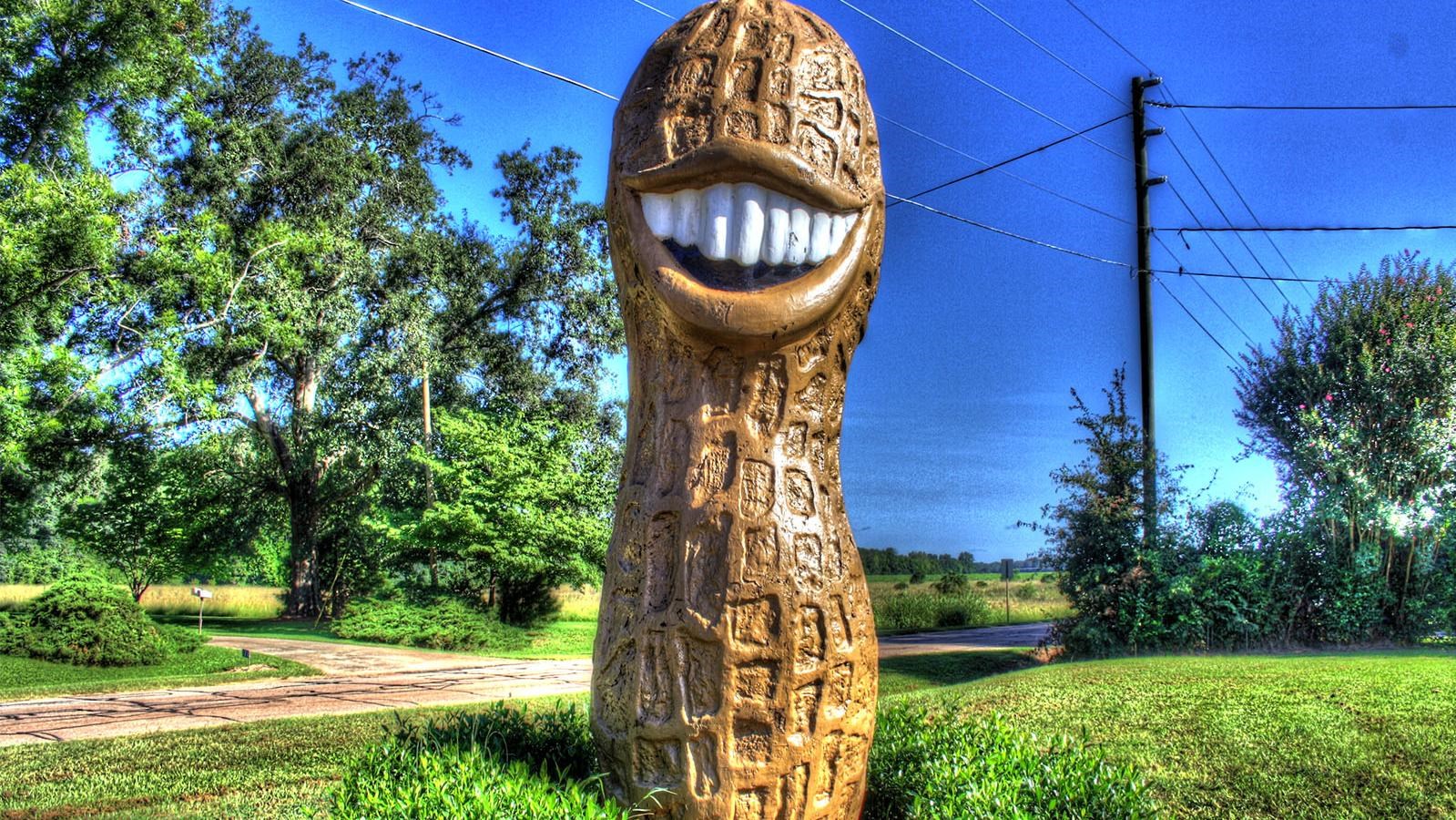 a 13 foot tall smiling peanut used in the 1976 Presidential Campaign by Jimmy Carter.