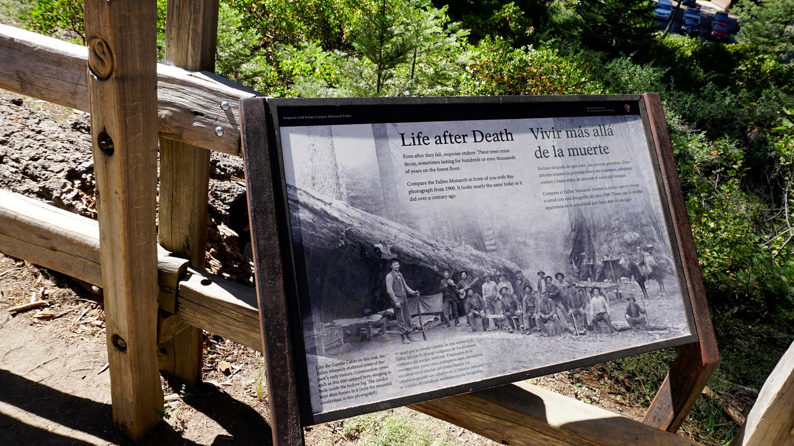 Exhibit with an old photo of a large log. The same log is in the background, and looks very similar.
