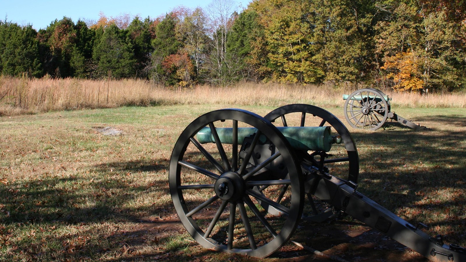 Two green colored cannons in a field bordered in the distance by woods.
