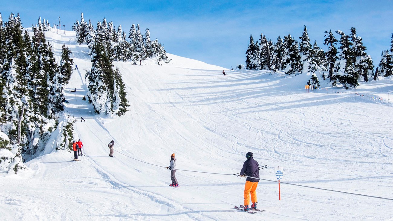 Skiers on a rope tow on a snowy slope.