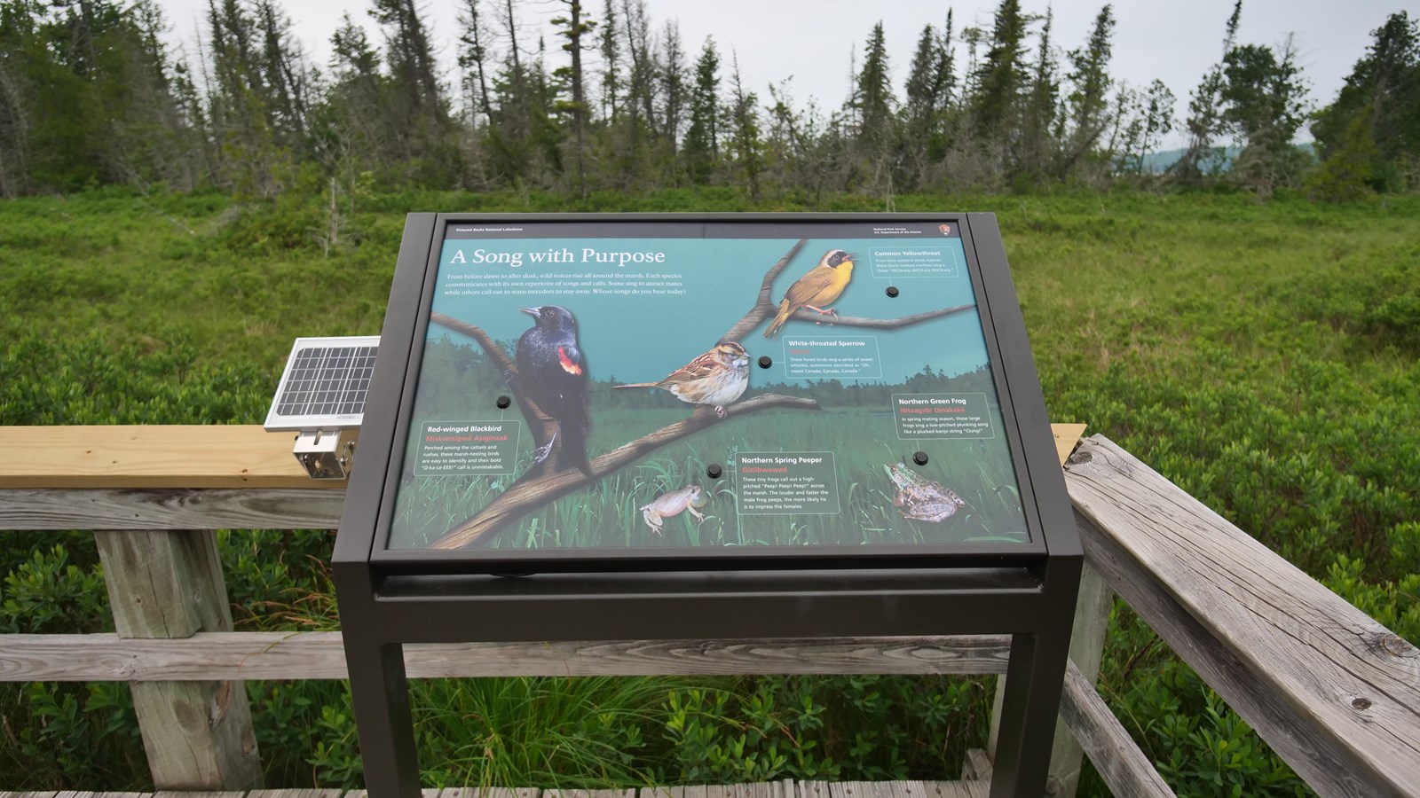 An interpretive panel with birds and buttons is mounted on a boardwalk.