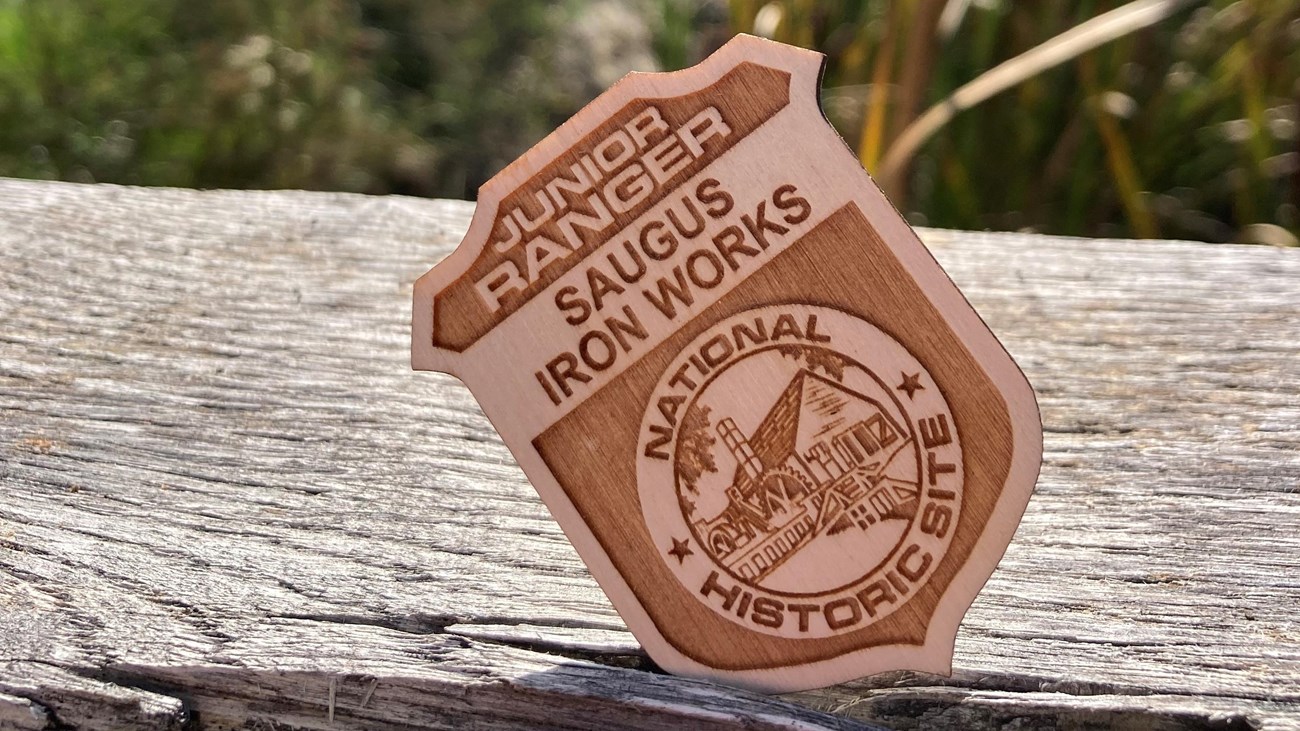 A wooden badge with the woods