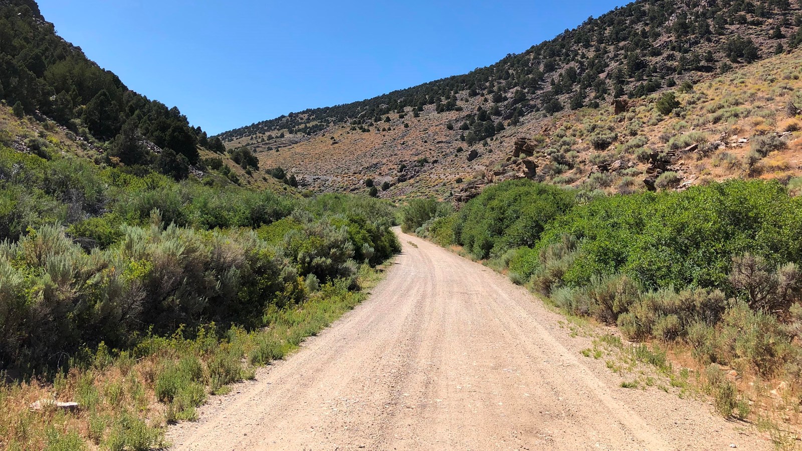 An unpaved road, hedged with sagebrush and other shrubs, begins curving between steep hillside.