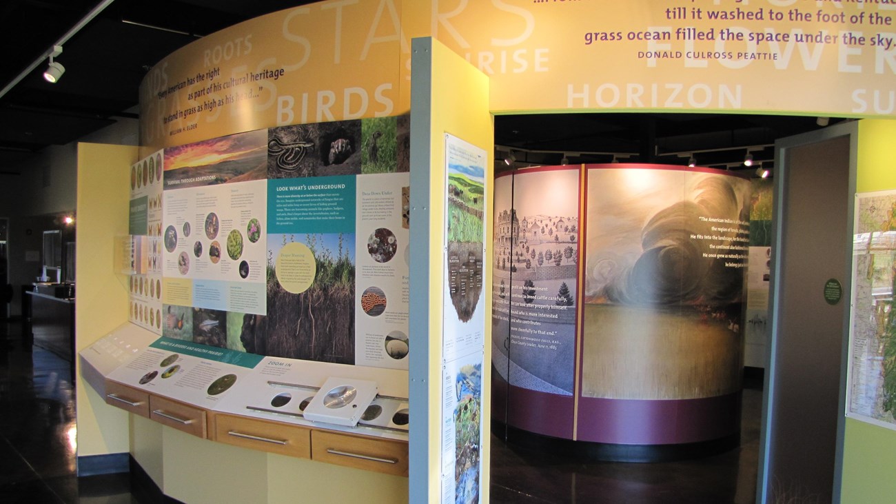 Wall exhibits dsplay several ecology topics