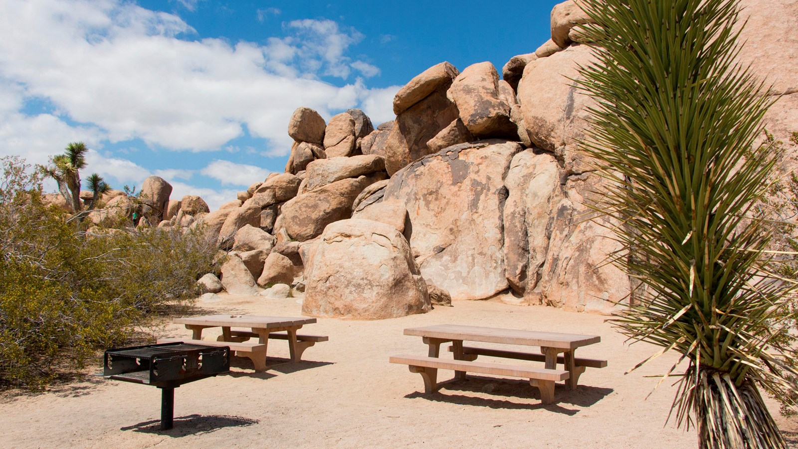 Two picnic tables and a grill in front of a large rock formation with scattered shrubs.
