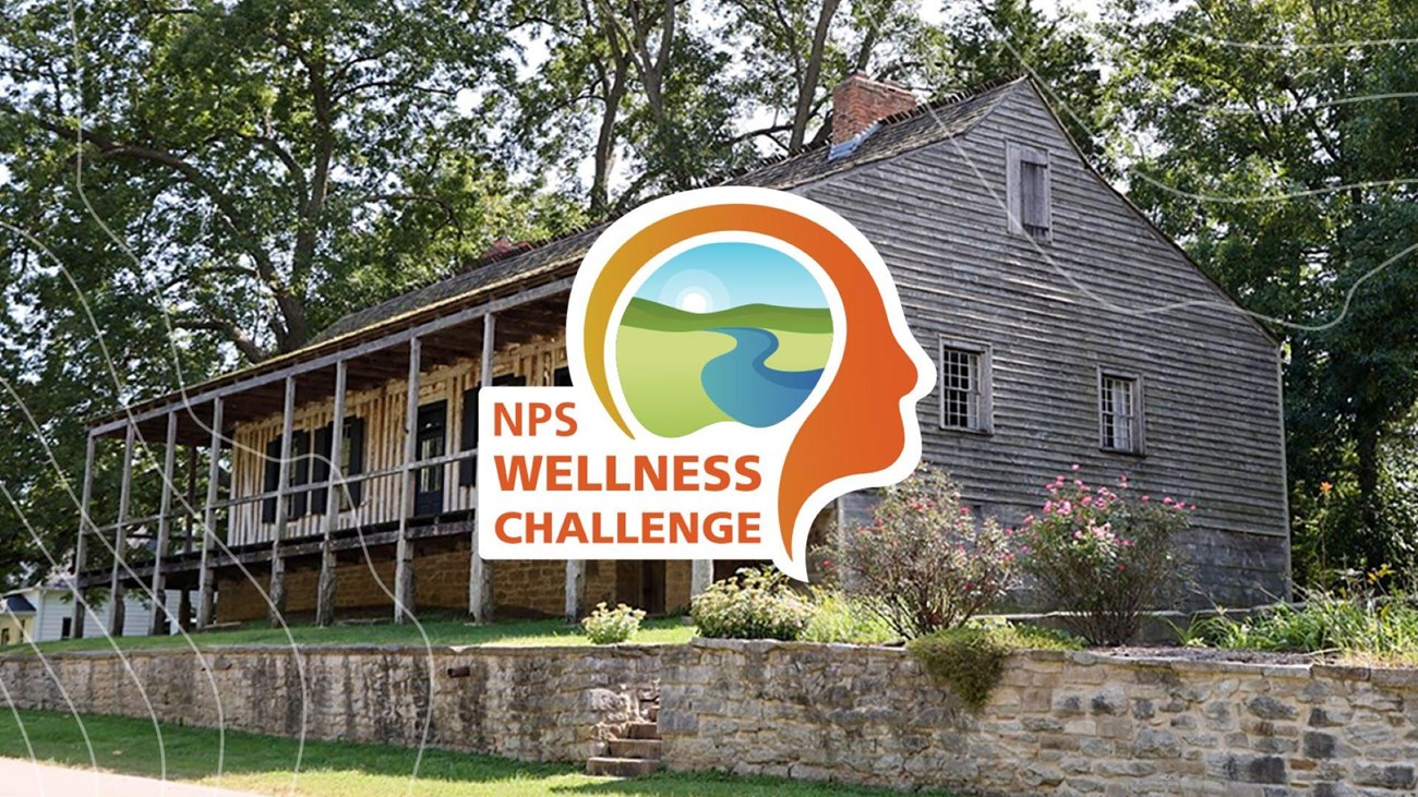 An illustrated logo of a landscape inside a head with text reading NPS Wellness Challenge