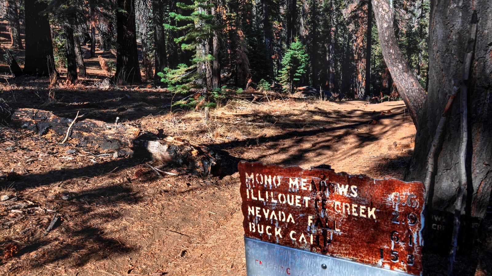 Trail sign in a wooded area