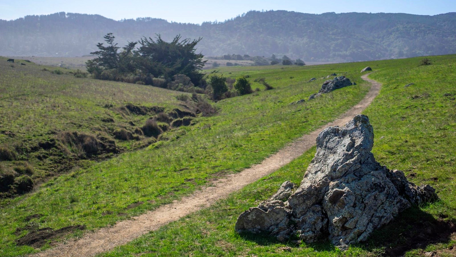 The trail leads through pasture land to Tomales Bay.