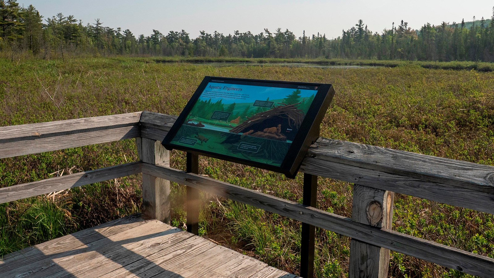 An interpretive exhibit mounted on a boardwalk overlooking a marshy pond.