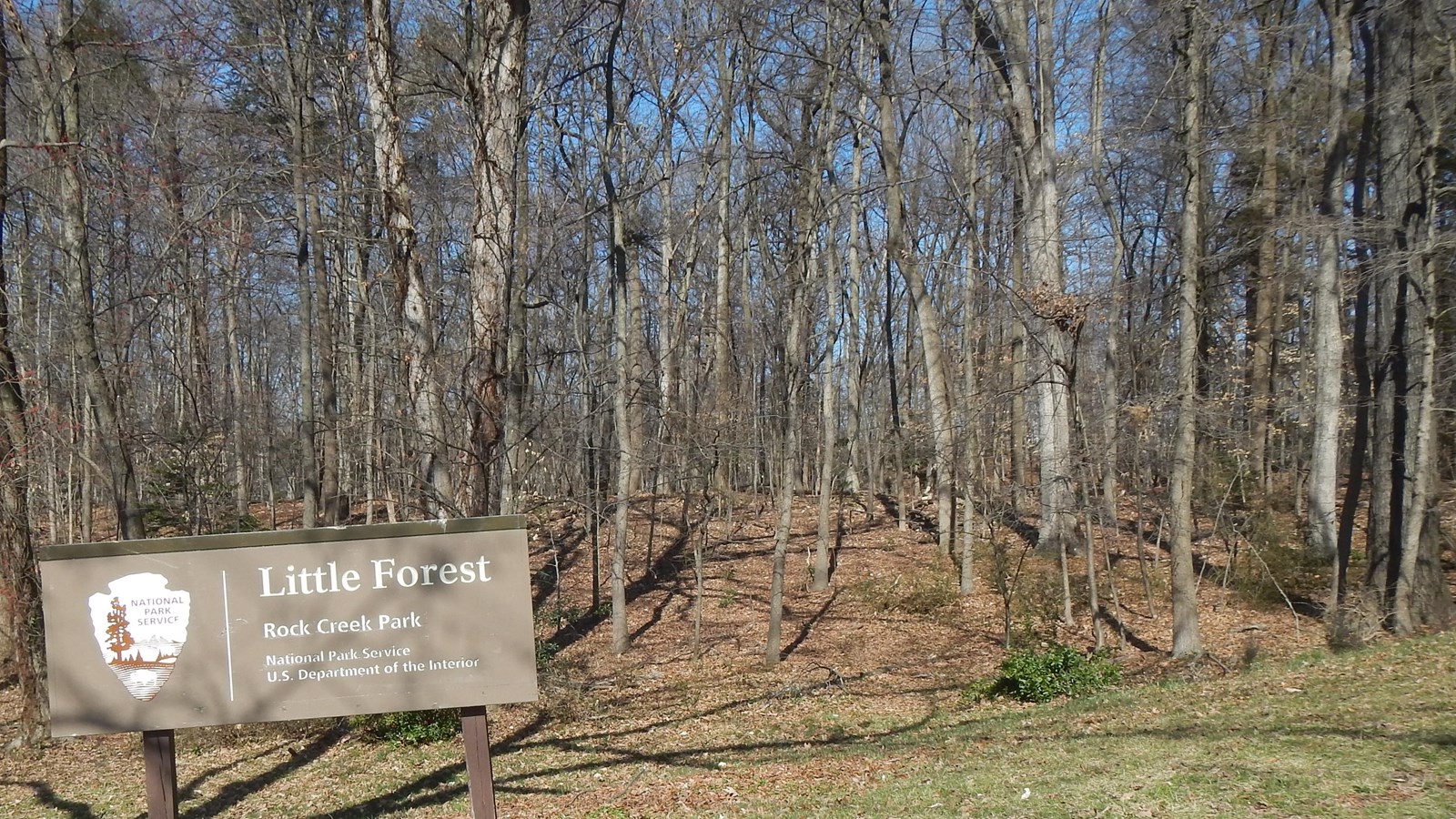 Little Forest Park (U.S. National Park Service)