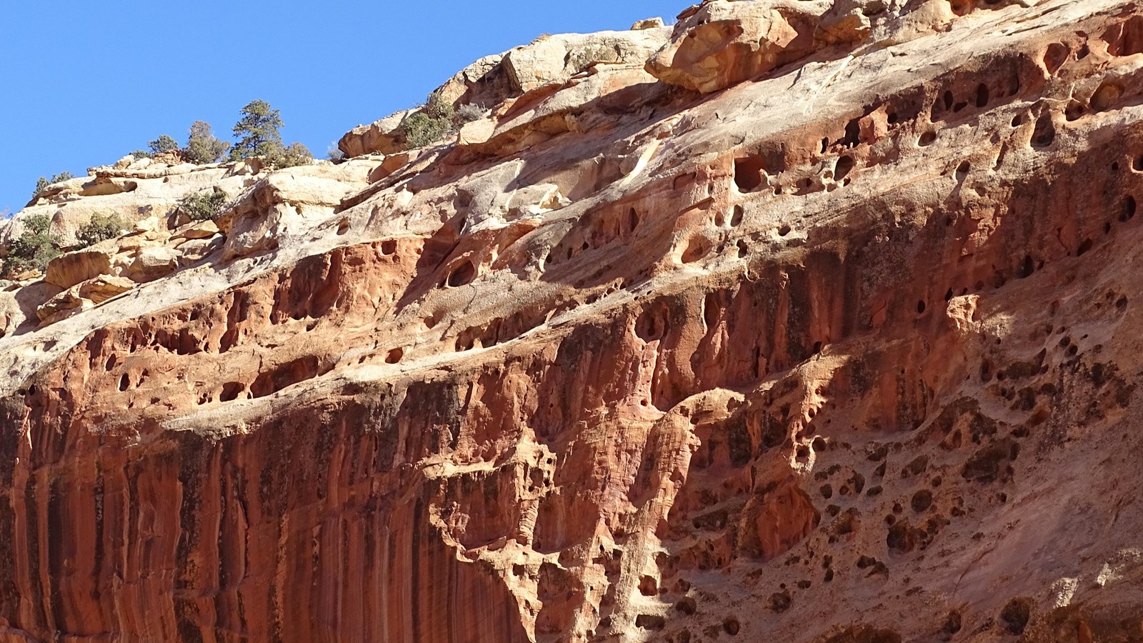 Red-brown sandstone cliff with shallow, irregularly shaped holes in its face.