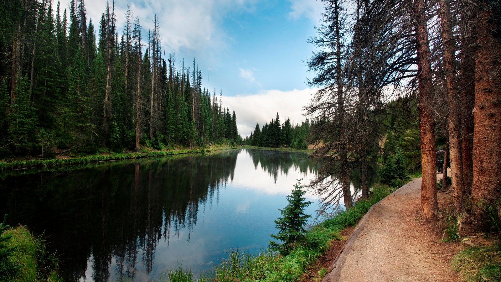 a path and trees line a trail around a calm lake