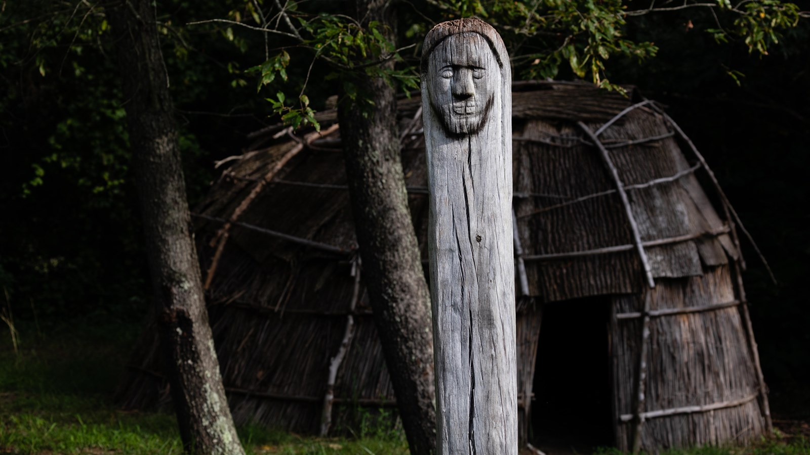 American Indian style house in a forest setting. 