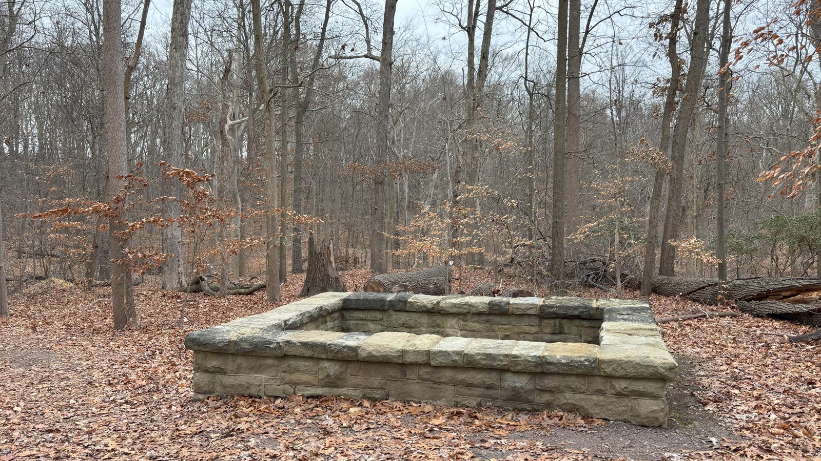 Rectangular plot of land with a knee-high wall with fallen leaves on the ground and trees behind