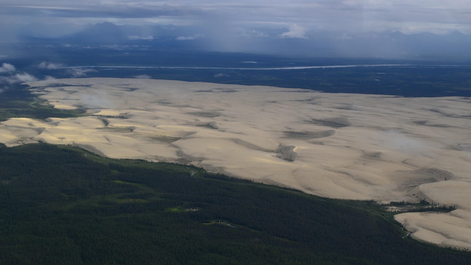 Aerial image of sand dunes surrounded by evergreen trees