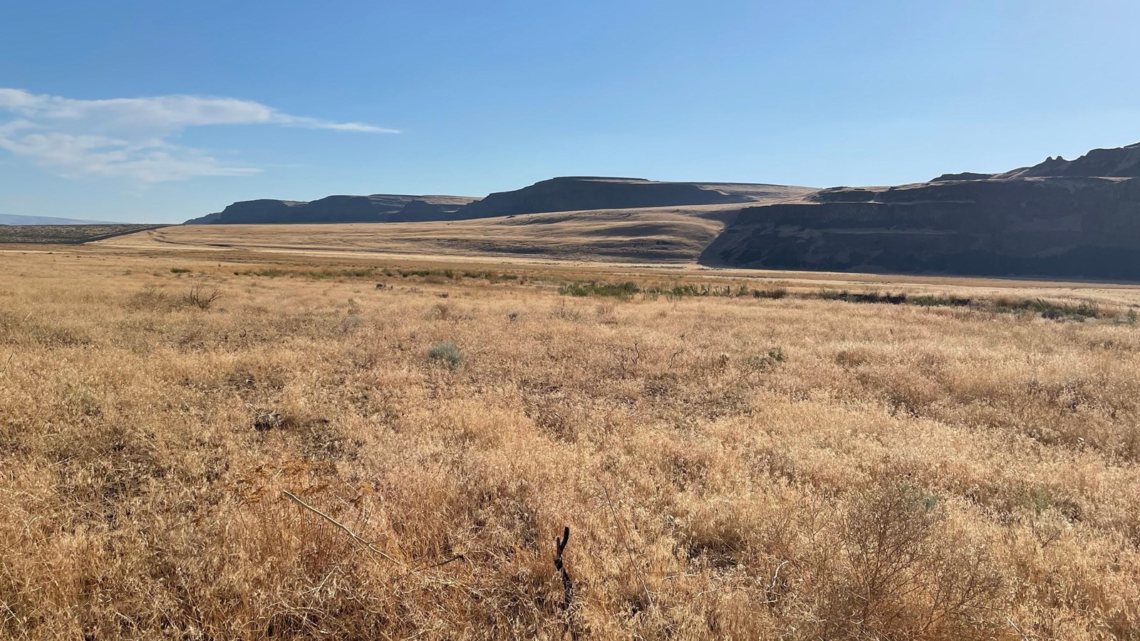 Great Gravel Bar National Natural Landmark of Moses Coulee