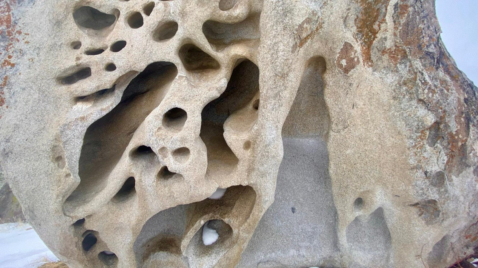 An example of tafoni on a granite boulder, deep divots cover the surface. 