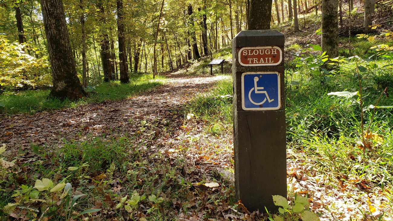 A leaf bottom trail with sign post and handicap sign in a forest.