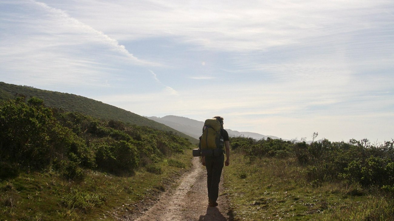 A hiker silhouetted by sunlight, on a dirt trail through a hillside of coastal shrub