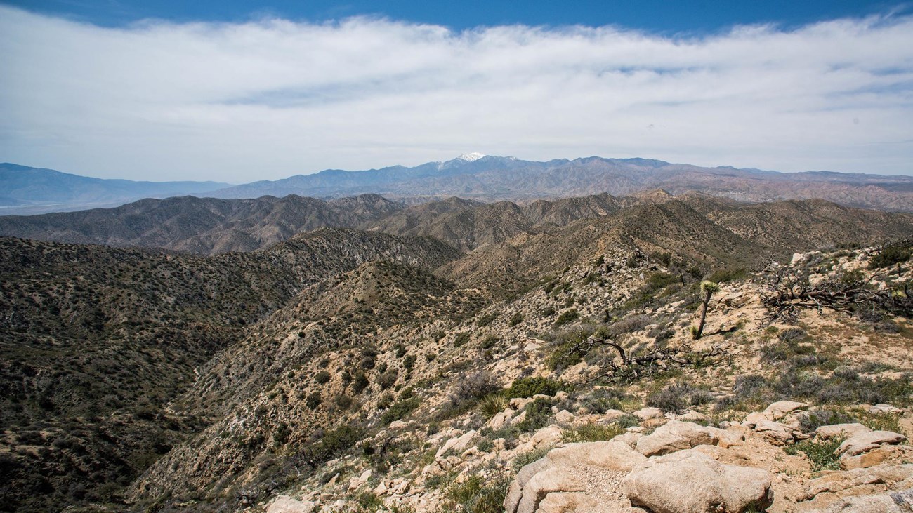 A landscape filled with hill and mountain peaks topped with desert shrubs. 