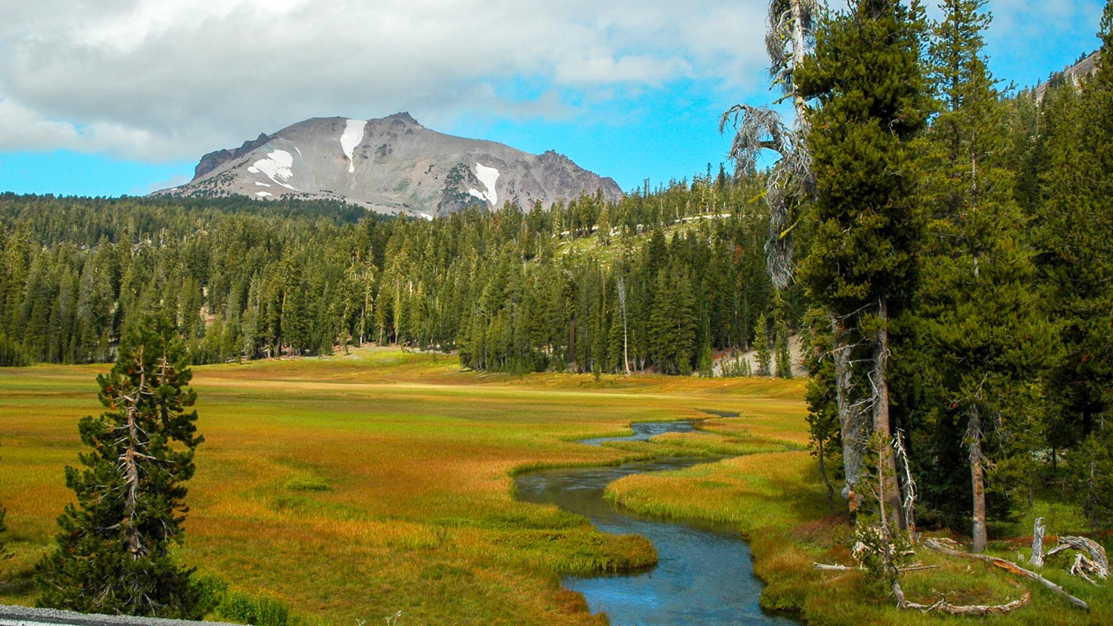 A photo of a creek winding through a mountain meadow at the base of a volcanic peak.