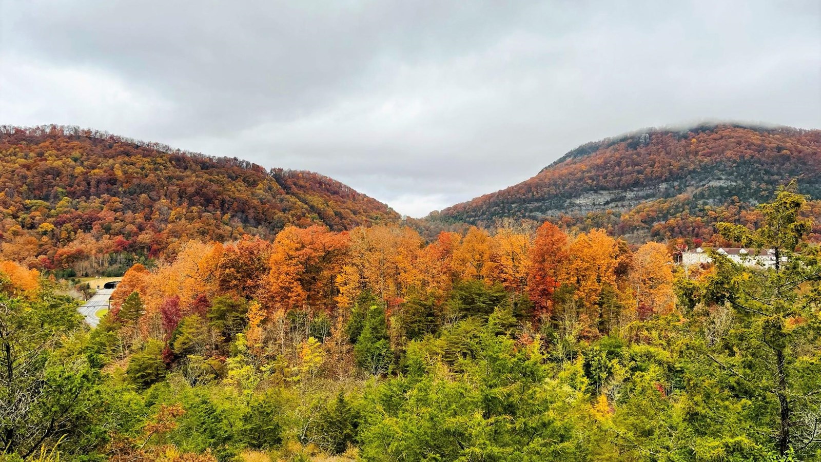 pass through the mountain covered in fall foliage. 