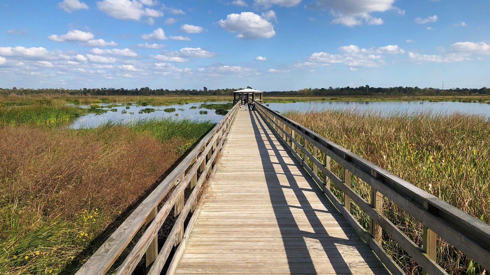 a long wooden boardwalk extends toward the horizon into a wetland marsh area
