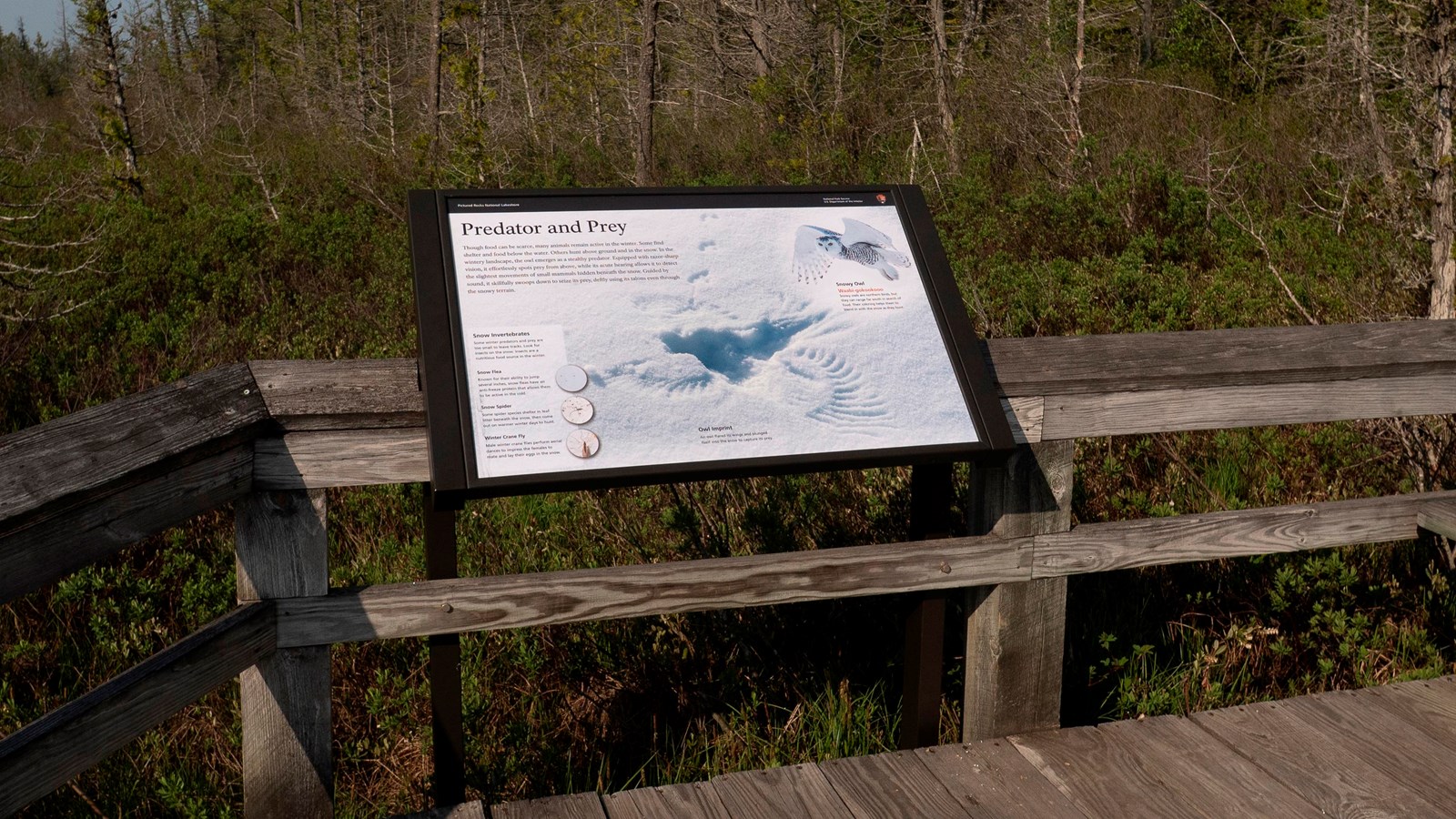 An interpretive exhibit mounted on a wooden boardwalk overlooking a marsh