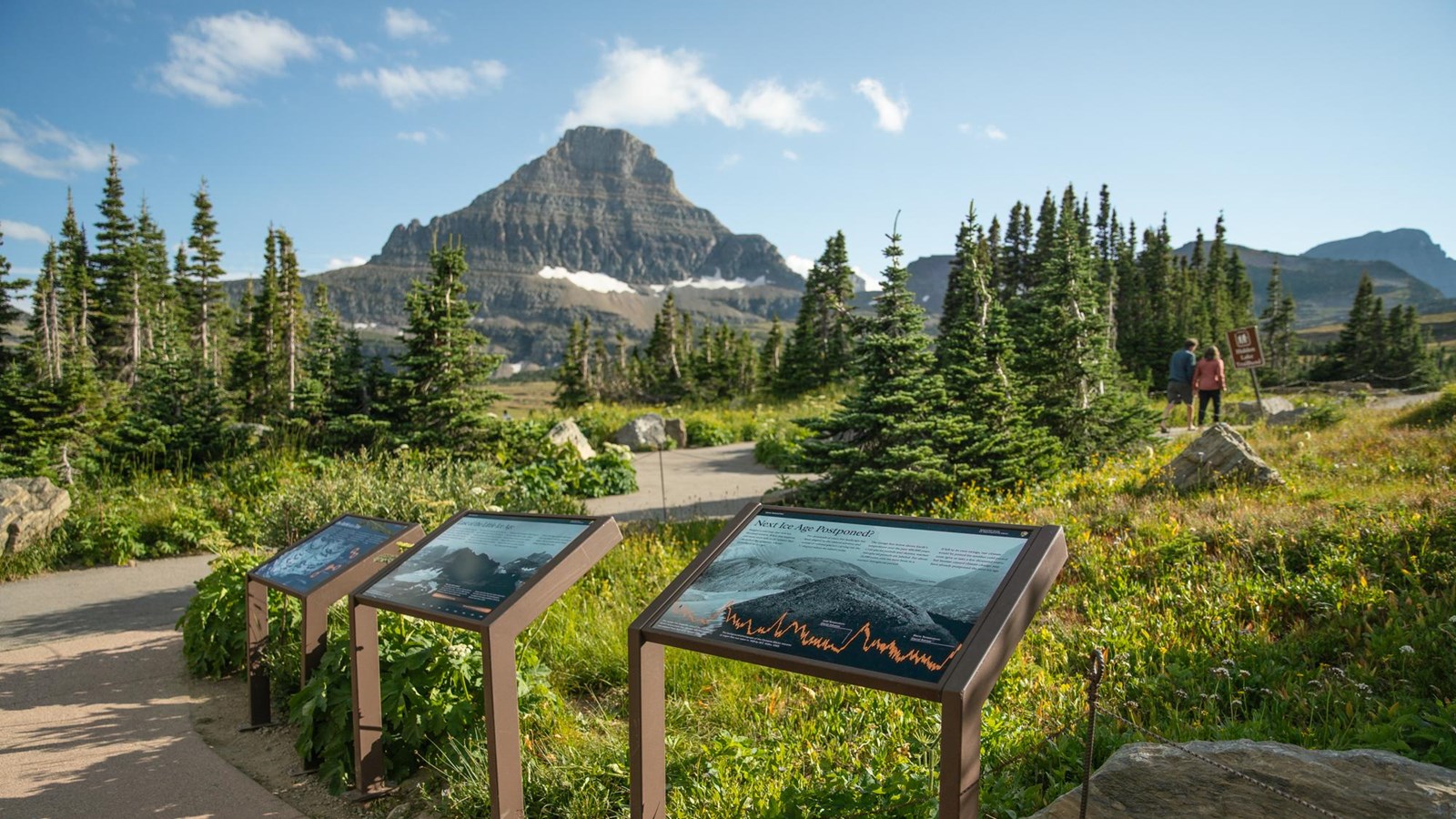 Three exhibits in an alpine meadow with a mountain in the background.