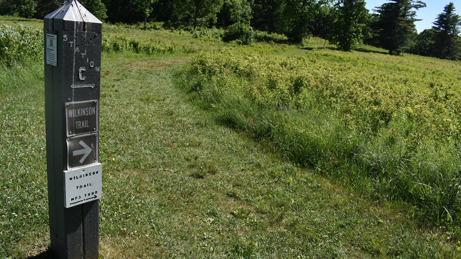 Gray post marker, 