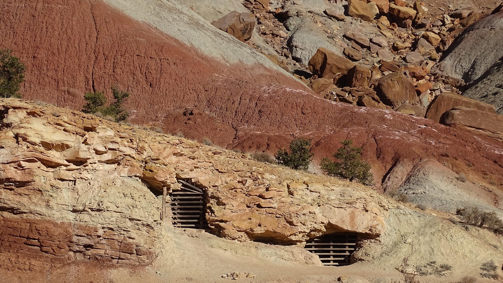 Two holes blocked by metal bars at the base of a yellowish-tan band of rock.