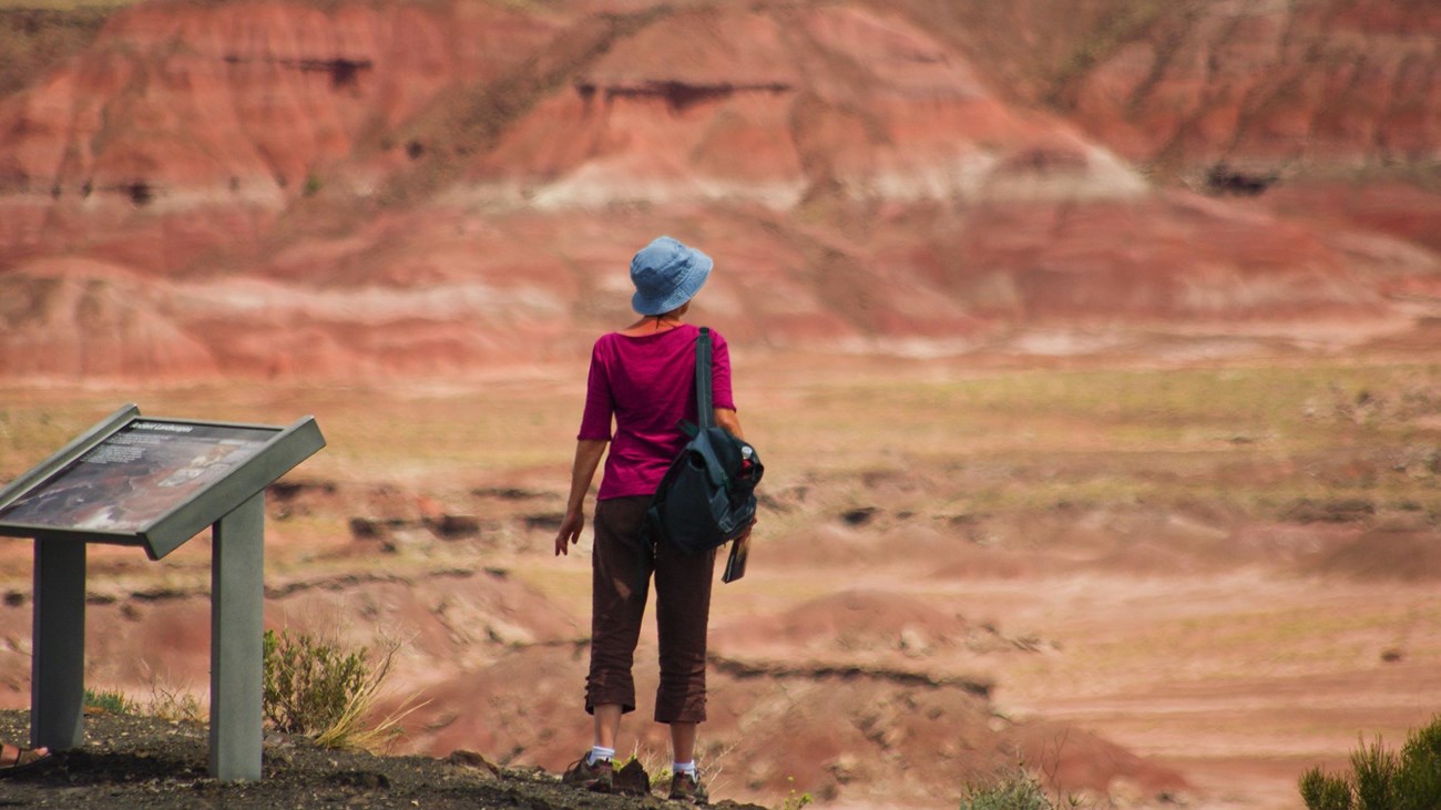 Woman stopped next to a wayside exhibit looking towards red badlands in the background