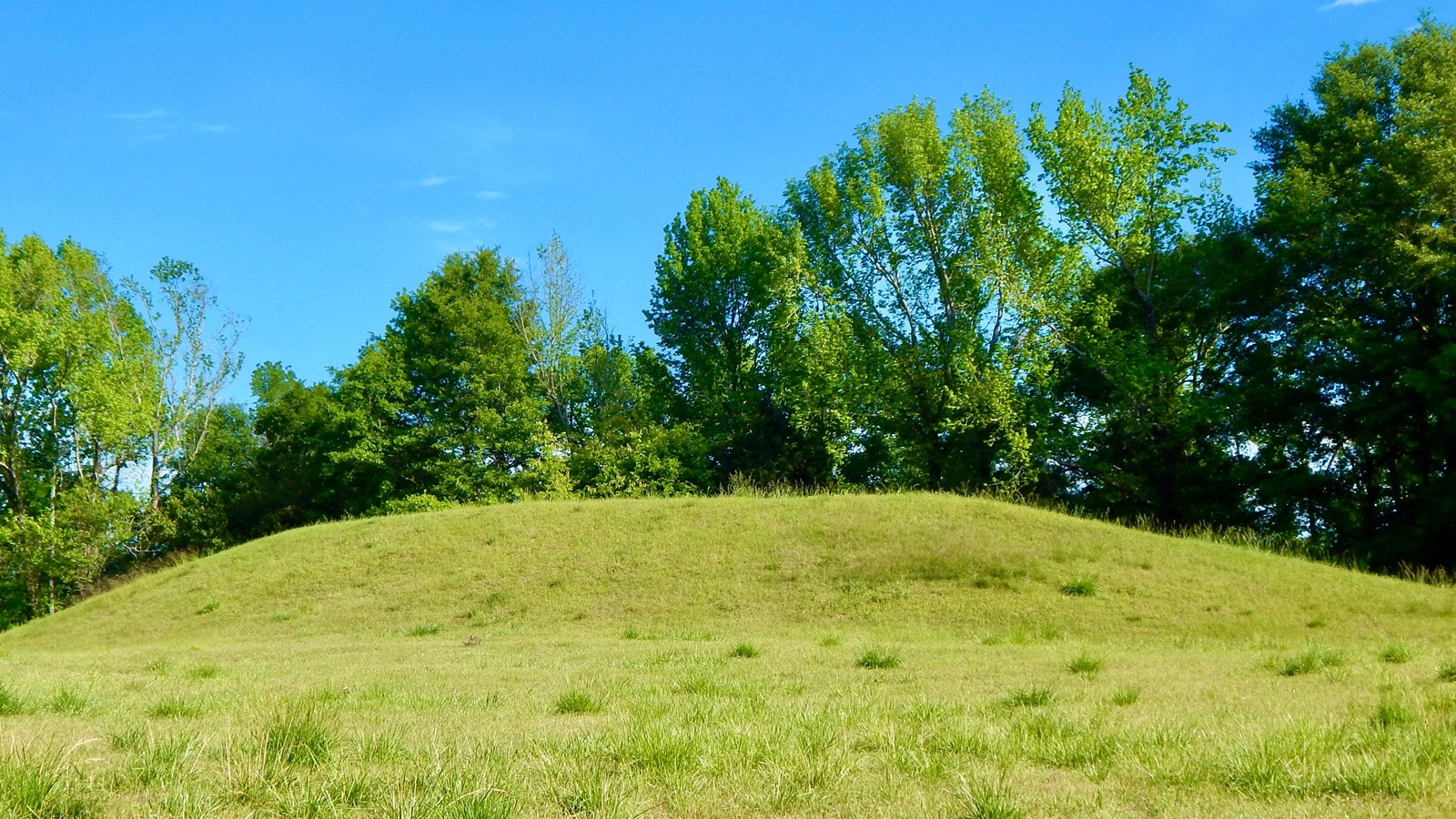A grassy mound with trees behind it.