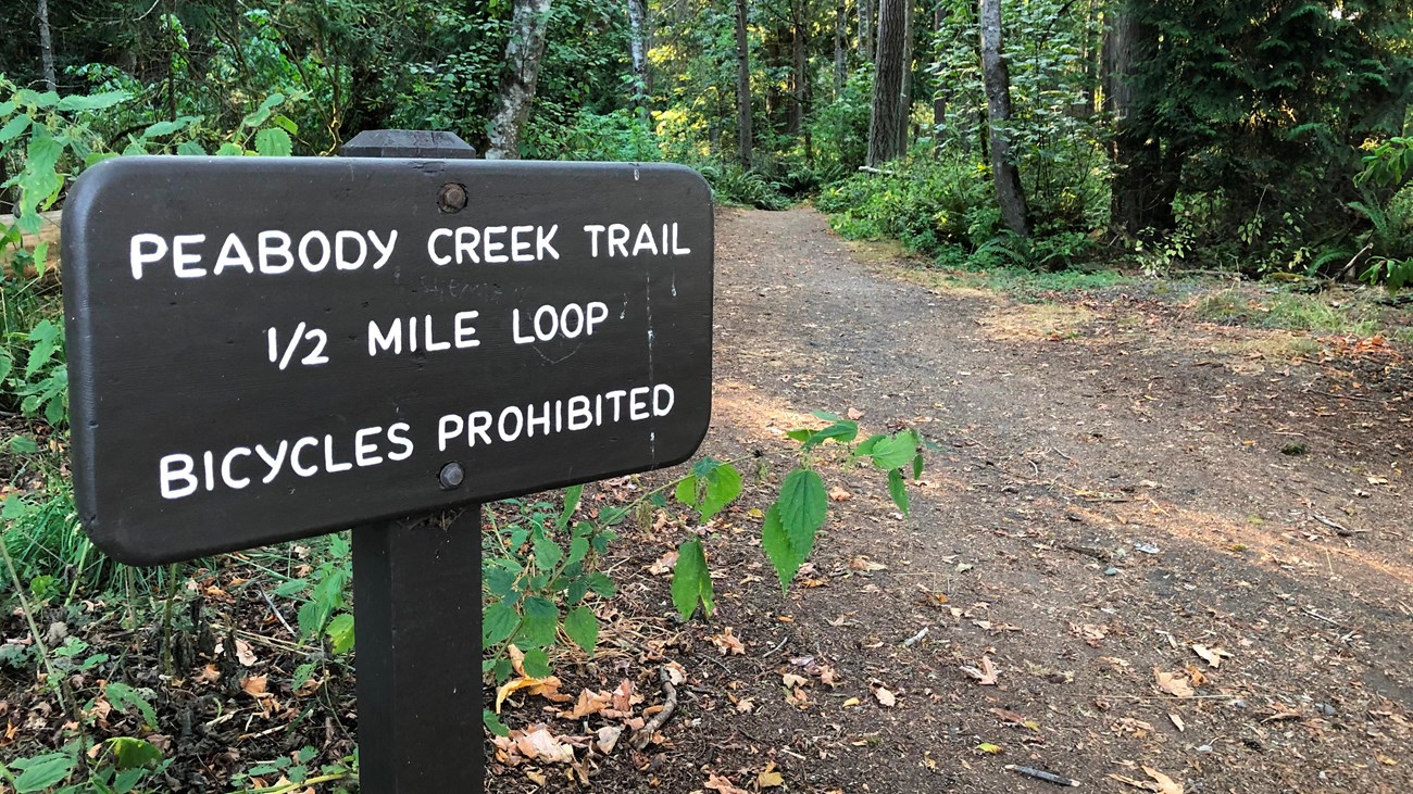 A trailhead with a sign that reads 
