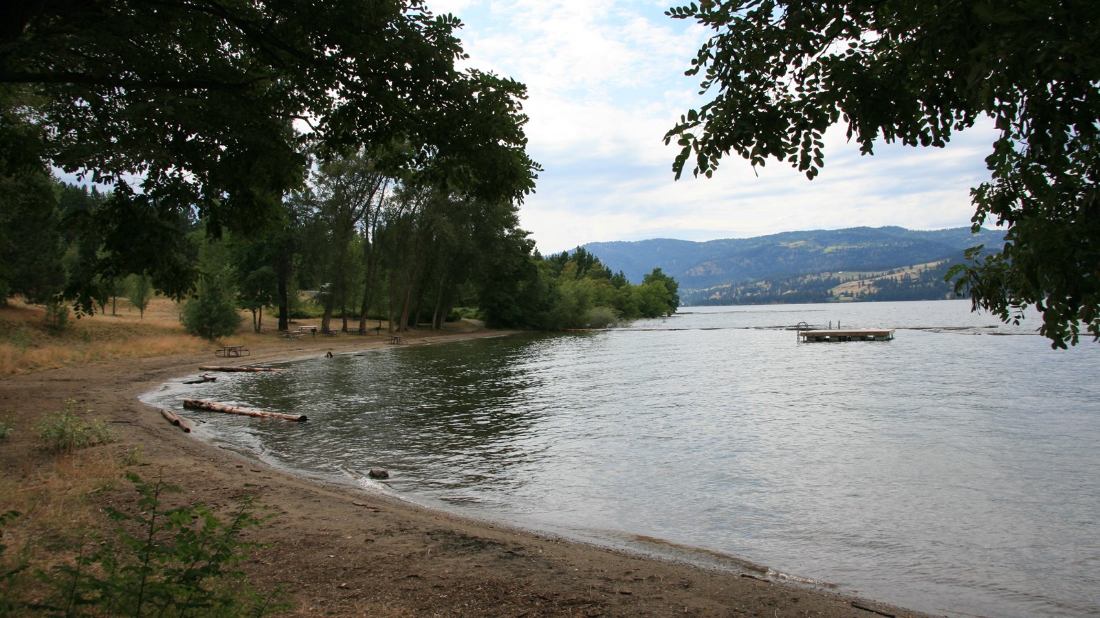A view of a sheltered beach area, grass, trees, picnic tables, and the lake shore.